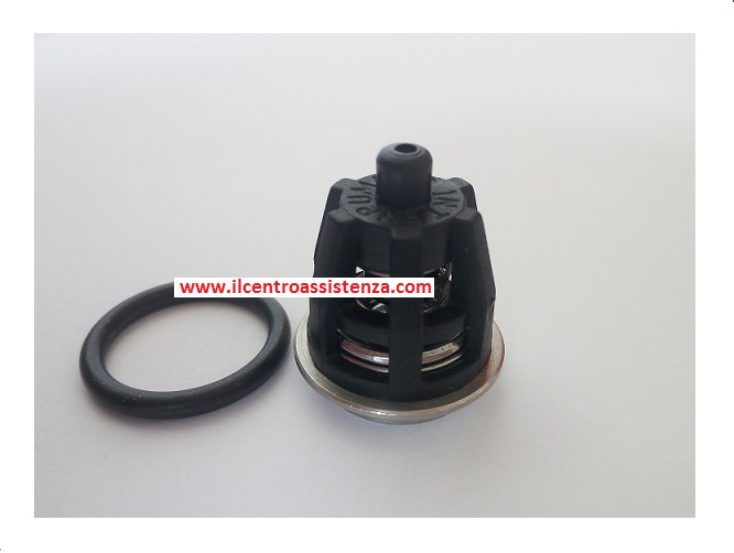 Kit valvole aspirazione  (102202919)